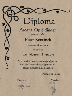 Diploma Arcana opleidingen Pjotr-2